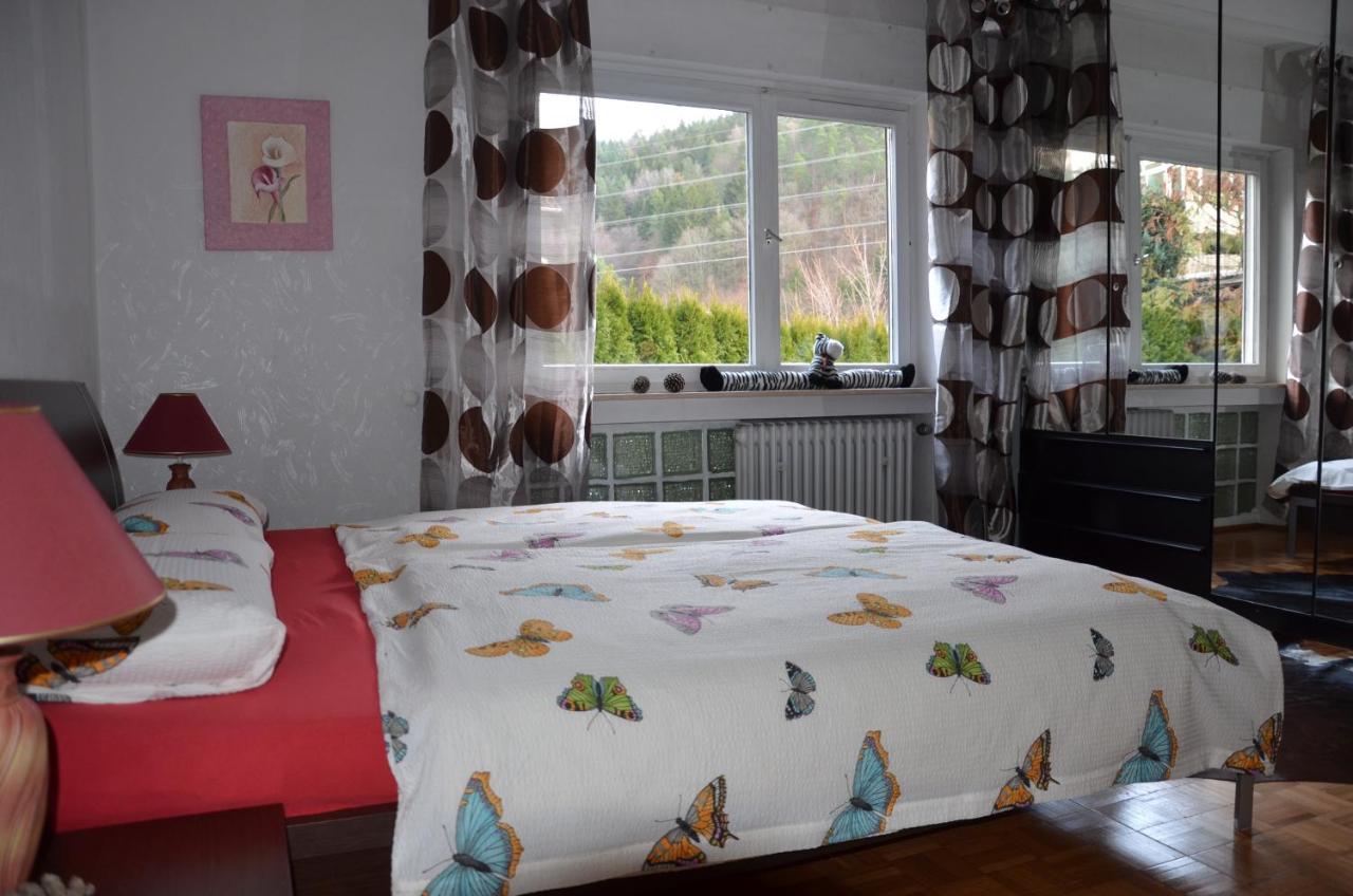 Ferienwohnung Klock Weisenbach Esterno foto