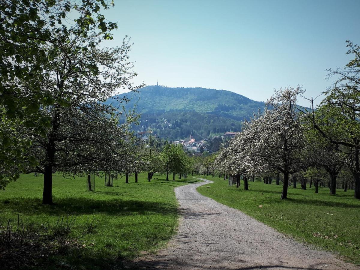 Ferienwohnung Klock Weisenbach Esterno foto