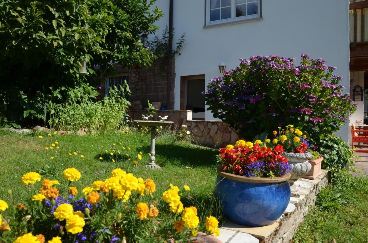 Ferienwohnung Klock Weisenbach Esterno foto