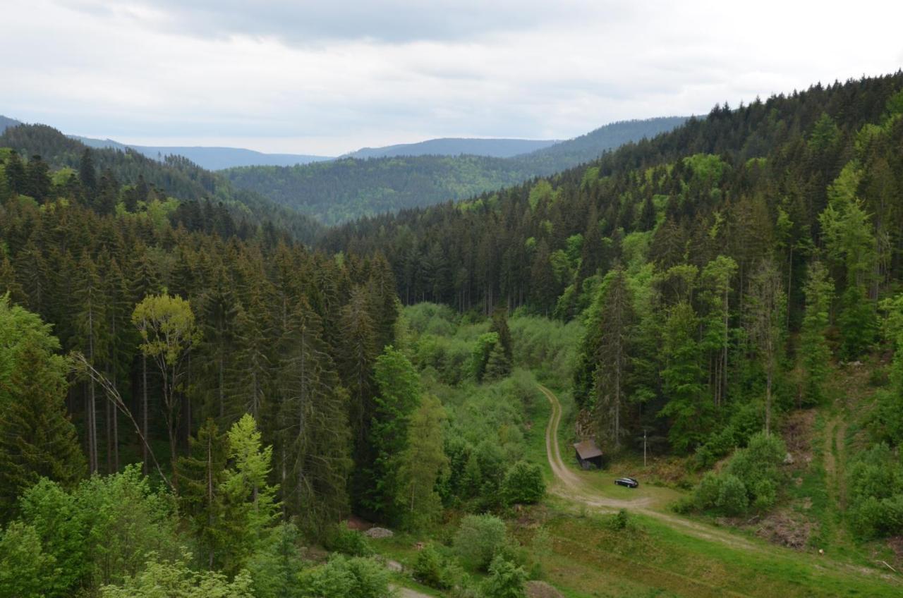 Ferienwohnung Klock Weisenbach Esterno foto